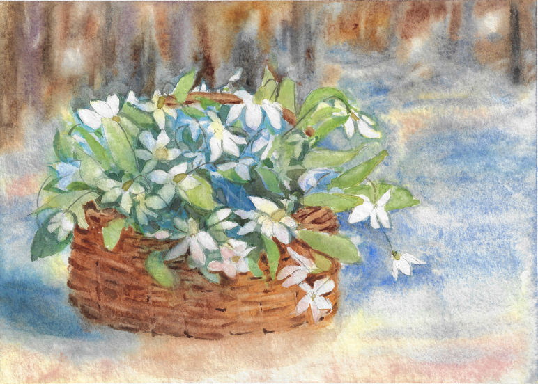 Snowdrops.  Author's aquarelle print